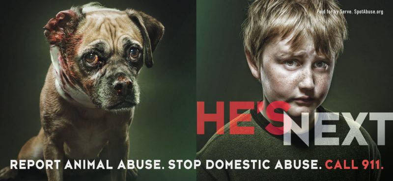 Domestic Violence and Animal Cruelty